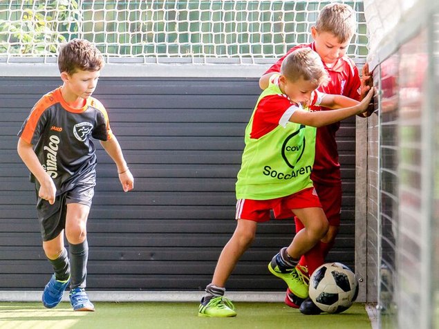 Rundum-Bande mit Netzen